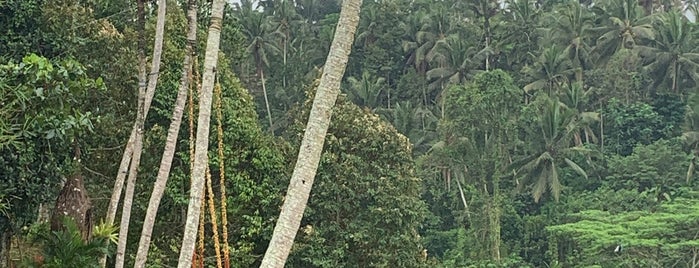 Aloha Ubud is one of اندونيسيا.