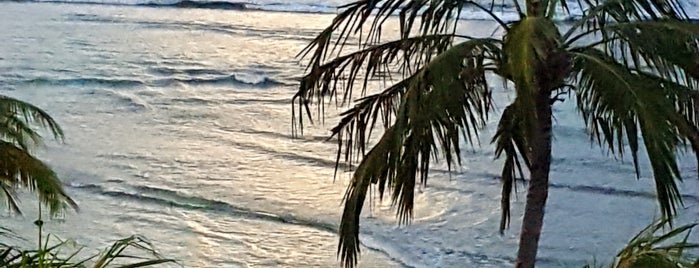 Coconut Court Beach Hotel is one of Barbados.