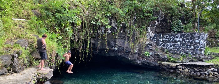 Piula Cave Pools is one of Trips.