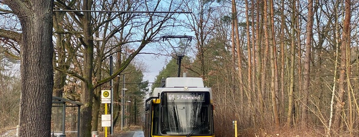 H Rahnsdorf/Waldschänke is one of Berlin tram line 61.