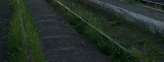 Залізнична станція «Виноградів» / Vynohradiv railway station is one of Андрей : понравившиеся места.