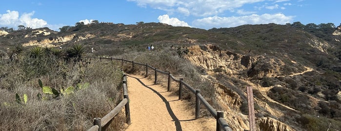 Torrey Pines Cliffs is one of Bridget’s Liked Places.