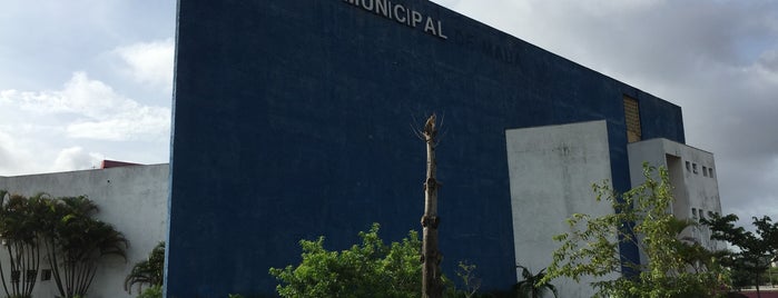Teatro Municipal de Mauá is one of 주변장소3.