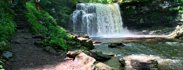 Mohawk Falls is one of Waterfalls - 2.