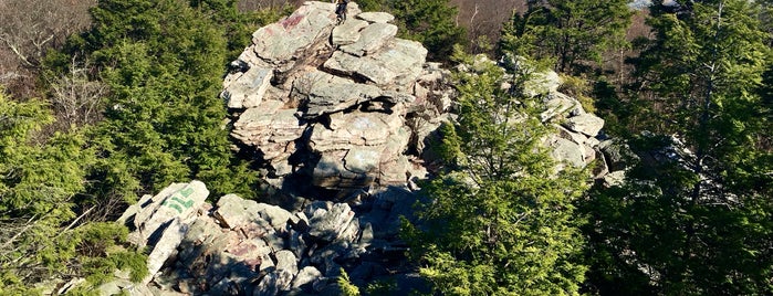 Bear Rocks is one of Lehigh Valley List.