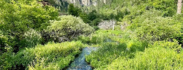Spearfish Canyon is one of Stacy 님이 저장한 장소.