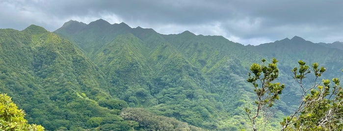 Manoa Cliff Trail is one of Hawaii.