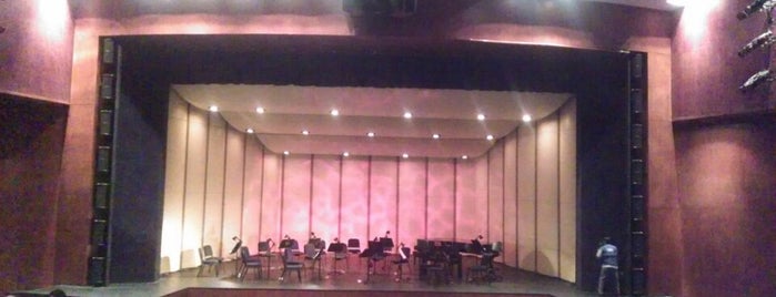 Teatro Cafam de Bellas Artes is one of Eventos en Bogotá.