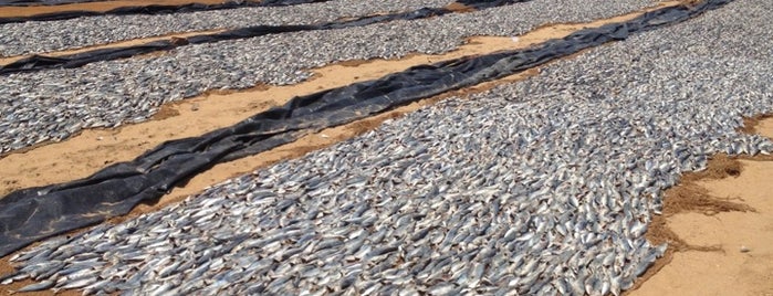 Negombo Fish Market is one of Locais salvos de Cynthia.