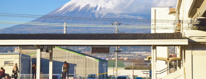 Yoshiwara Station is one of 東日本・北日本の貨物取扱駅.