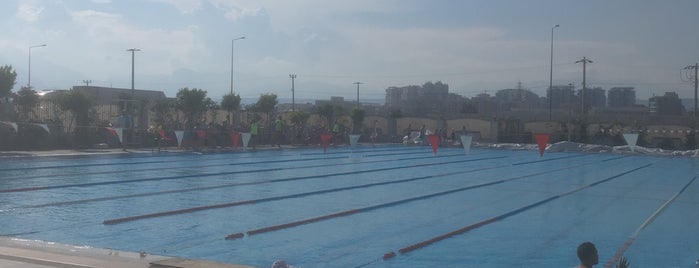 Yıldızlar Olimpik Yüzme Havuzu is one of Locais curtidos por Abdi.