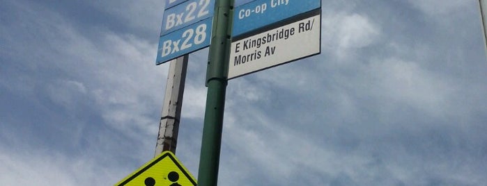 MTA MaBSTOA Bus at Kingsbridge Road & Jerome Avenue: (Bx9, Bx22, Bx28, Bx32) is one of Edit.