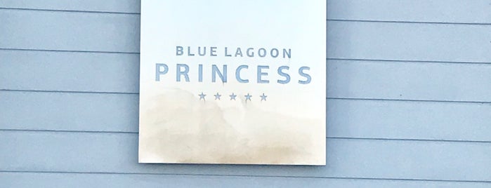 Blue Lagoon Princess is one of Didier’s Liked Places.