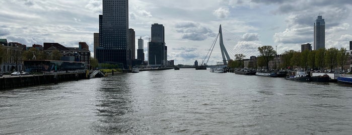 Koninginnebrug is one of Rotterdam.