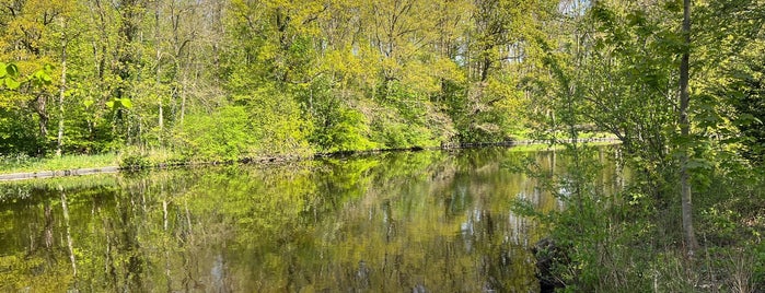 Haagse Bos is one of Hag A.