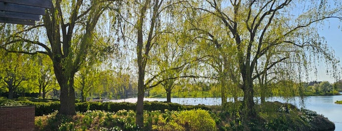Chicago Botanic Garden is one of Cool places I wanna visit.