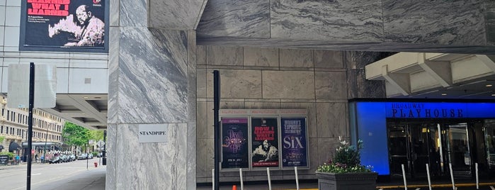 Broadway Playhouse is one of The 15 Best Performing Arts Venues in Chicago.