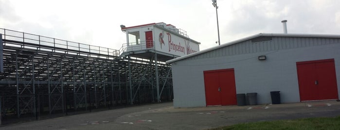 Viking Stadium is one of Locais curtidos por JàNay.