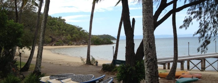 Orpheus Island is one of Townsville: Biggest, highest, oldest..