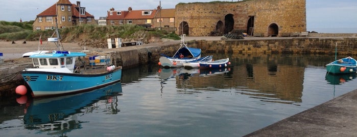 Beadnell Harbour is one of Lieux qui ont plu à Tristan.