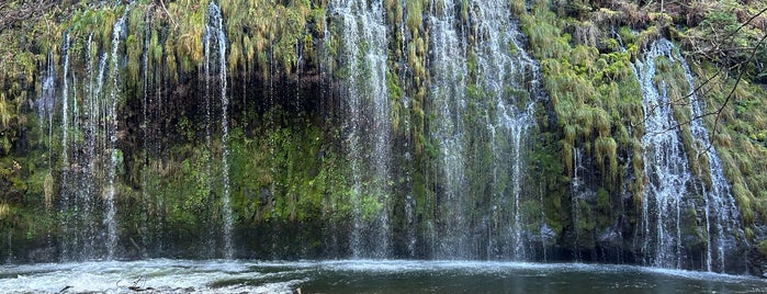 Mossbrae Falls is one of Hikes.