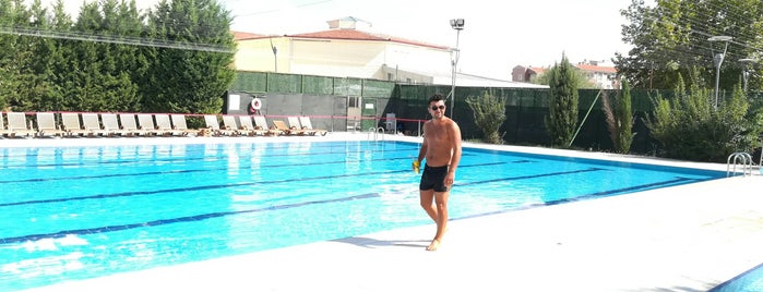 Ahi Evran Üniversitesi fizik tedavi yüzme havuzu is one of Kircuty.