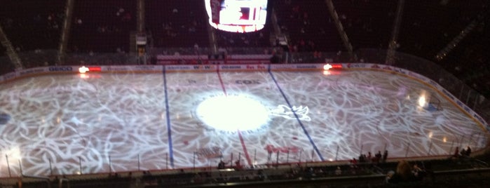 Desert Diamond Arena is one of NHL Arenas.