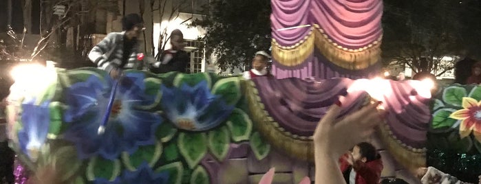 Krewe Of Cleopatra is one of Mardi gras parades.