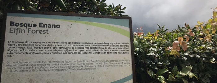 Reserva Biológica Bosque Nuboso Monteverde is one of Costa Rica.