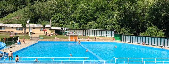 Koupaliště Divoká Šárka is one of Swimming.