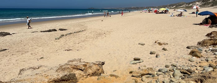Praia dos Aivados is one of Costa Vicentina.
