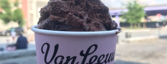 Van Leeuwen Artisan Ice Cream is one of NYC.