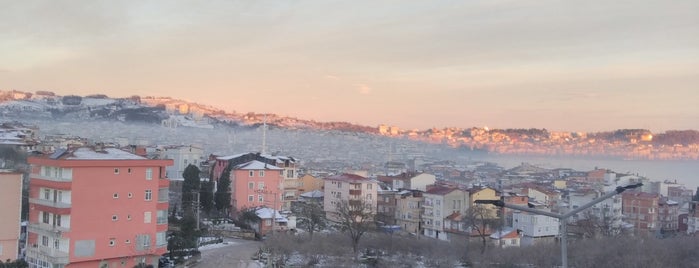 Arif Nihat Asya Mesleki ve Teknik Anadolu Lisesi is one of Orte, die Elif gefallen.