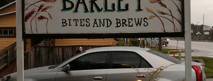 The Gnarly Barley is one of ORLando.