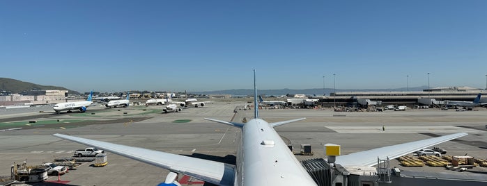 International Terminal G is one of airports.