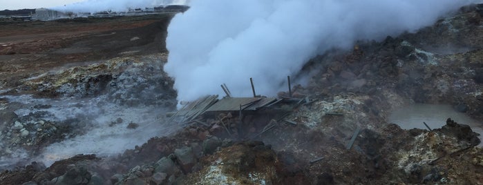 Gunnuhver Geothermal Area is one of Iceland road trip 18/8/16.