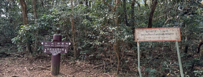 MacLehose Trail (Section 7) is one of Hiking HKG.
