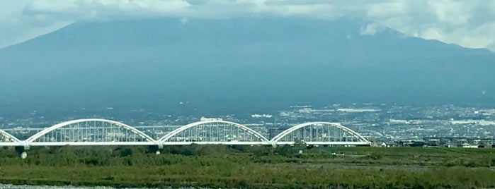 東海道新幹線 安倍川橋梁 is one of 鉄道の橋.