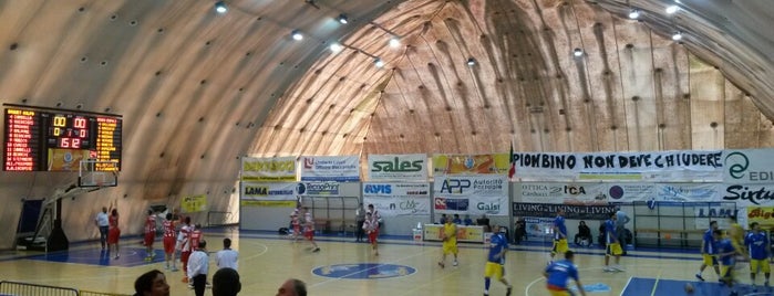 Basket Stadium