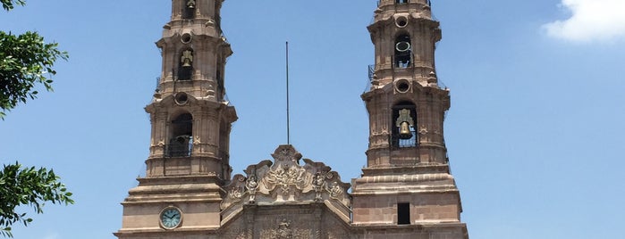Catedral Basílica de Nuestra Señora de la Asunción de las Aguas Calientes is one of Aguascalientes.