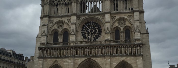 Kathedrale Notre-Dame de Paris is one of Paris / Sightseeing.