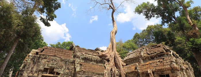 Ta Prohm ប្រាសាទតាព្រហ្ម is one of Siem Reap  Cambodia.