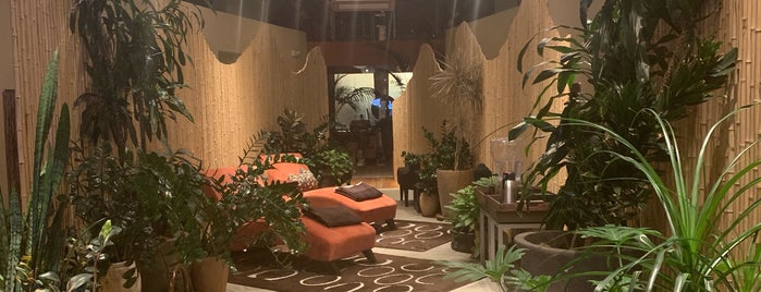 The 15 Best Places For Lounges In San Francisco