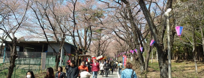 赤城南面千本桜 is one of สถานที่ที่ Minami ถูกใจ.
