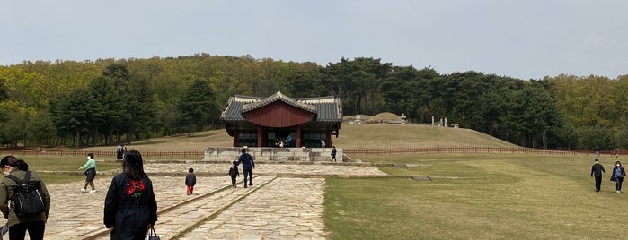 융릉(추존장조릉) / 隆陵 / Yungneung is one of Unesco 세계문화유산.
