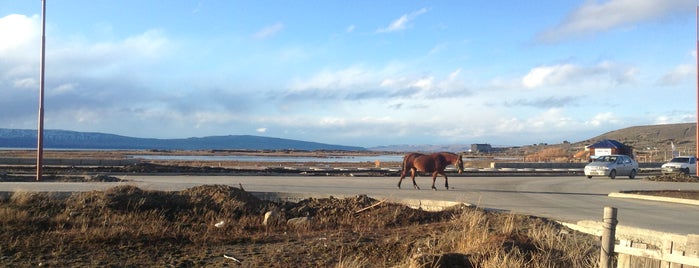 El Chiringuito Patagónico is one of El Calafate.