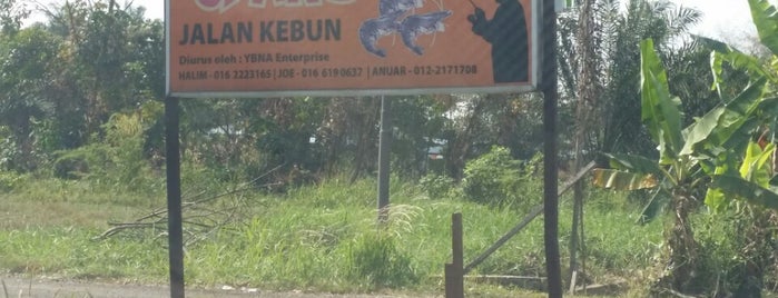 Kolam Pancing Udang Jalan Kebun is one of ꌅꁲꉣꂑꌚꁴꁲ꒒さんのお気に入りスポット.