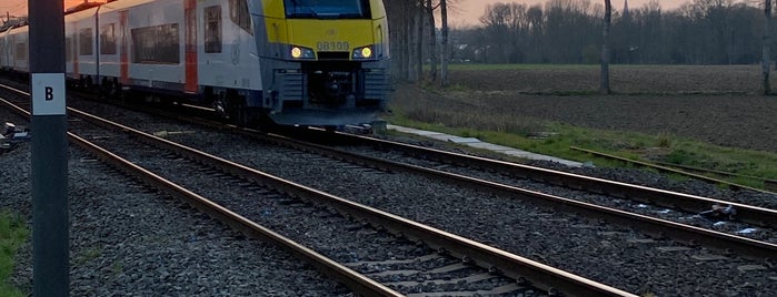 Station Melsele is one of Bijna alle treinstations in Vlaanderen.