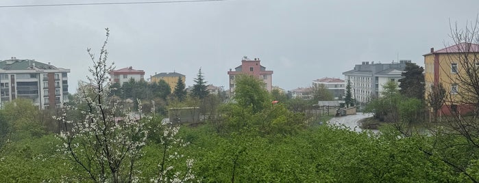 Asimer Kafe is one of Karadeniz.