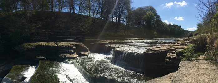 Aysgarth Falls is one of Lugares favoritos de Carl.